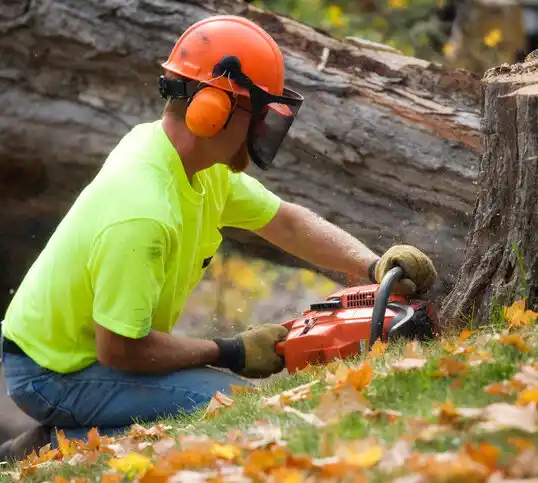 tree services Rumson